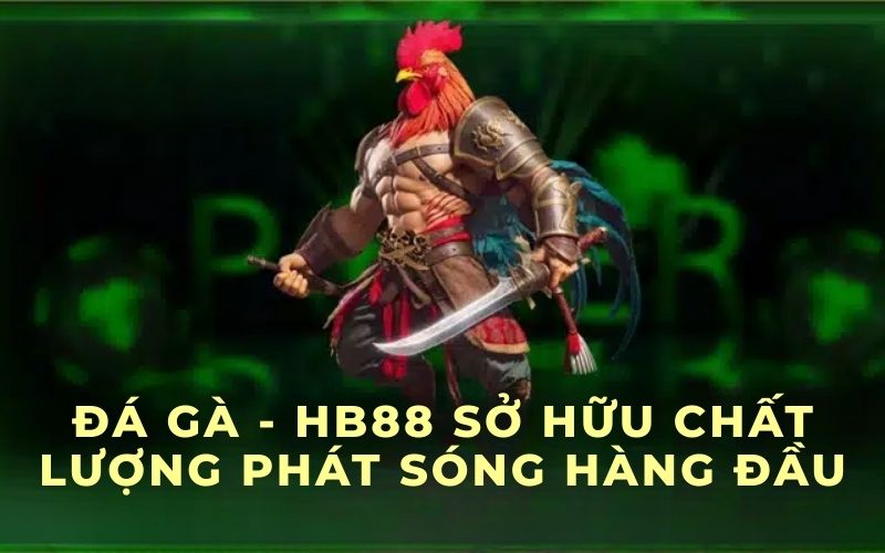 Đá gà - HB88 được phép phát sóng trực tiếp tại trường đấu