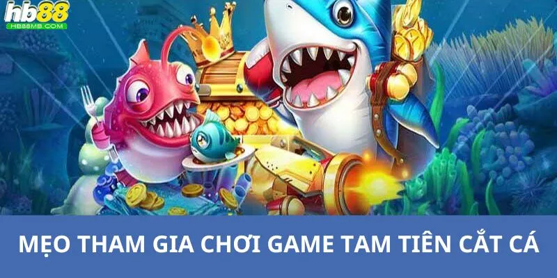 Tổng hợp tất cả các mẹo tham gia chơi tam tiên cắt cá để có kết quả cao nhất